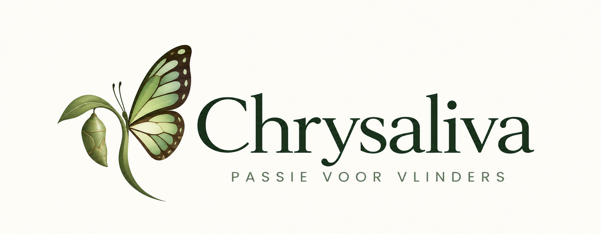 Chrysaliva – passie voor vlinders